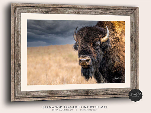 Barnwood framed bison wall art