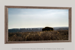 Bison wall art – wide panoramic rustic prairie photography print by Debra Gail Fine Art