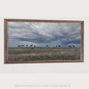 Wild Horse Wall Art - Panoramic Western Canvas Print | Rustic Framed Decor