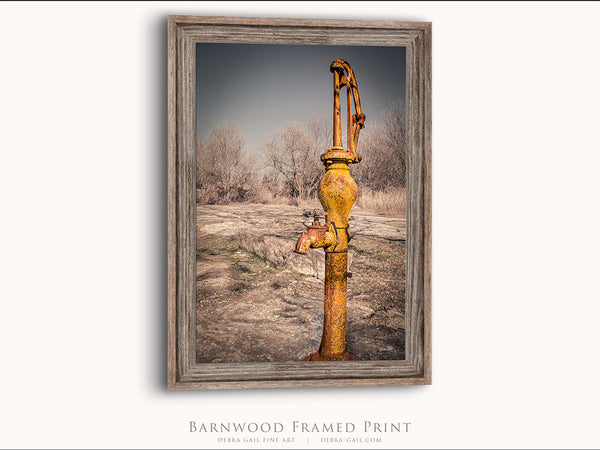 Rusty Hand Pump - Vintage Kitchen Wall Decor