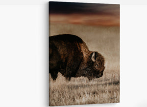 Vertical Bison Canvas Wall Art | Iconic American Buffalo Print