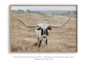 Texas Longhorn wall art – Western ranch photography print by Debra Gail Fine Art