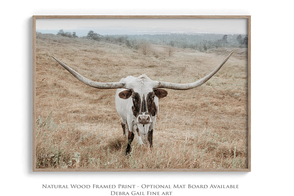 Longhorn Cow Print or Canvas - Neutral Farmhouse Artwork