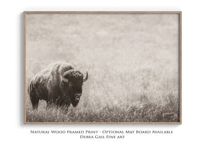 Minimalist Bison Canvas Art Print
