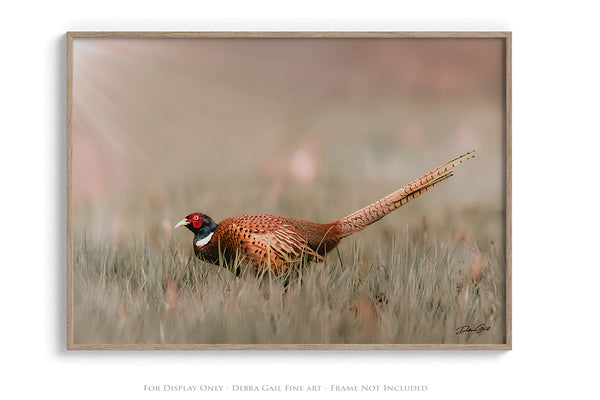 Pheasant Wall Art - Rustic Nature Decor No. 0642