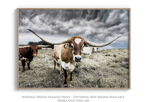 Longhorn cow wall decor canvas – rustic Western fine art print by Debra Gail Fine Art