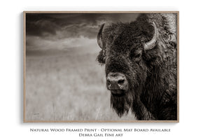 Buffalo Bison wall art canvas – rustic prairie photography print by Debra Gail Fine Art