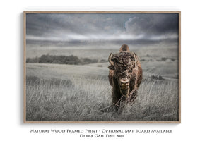 Buffalo fine art print – Great Plains wildlife wall decor by Debra Gail Fine Art