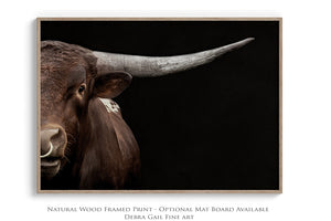 Texas Longhorn wall art – Western ranch photography print by Debra Gail Fine Art