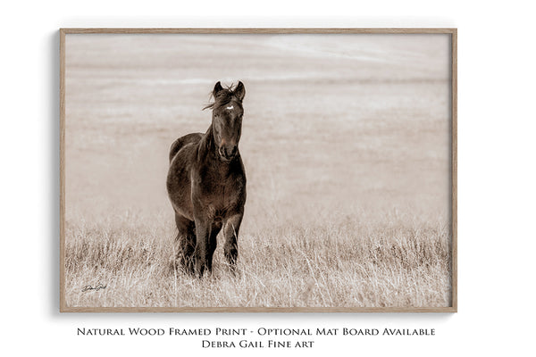 HORSE ON THE PRAIRIE - WESTERN DECOR PRINT