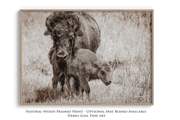 Mama Close Up Print or Canvas - Baby Buffalo - Rustic Western Decor