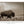 Bison Wall Art in Sepia - Western Gothic Decor No. 4148