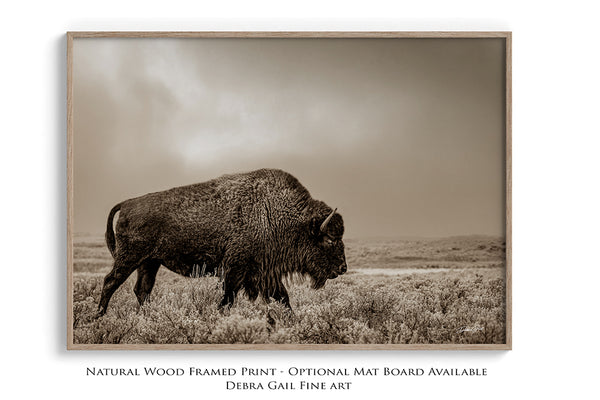 Bison Wall Art in Sepia - Western Gothic Decor No. 4148