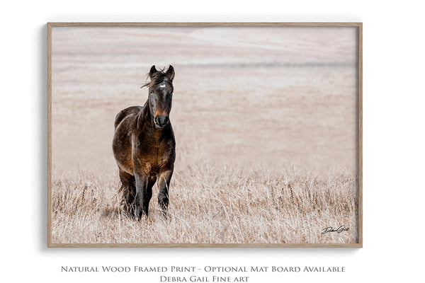 Wild Mustang Art - Horse Lovers Fine Art Photography