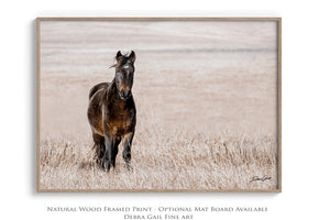 Wild Mustang Art | Horse Lovers Fine Art Photography