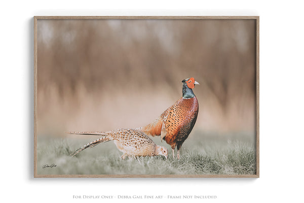 Majestic Pheasant Pair - Rustic Nature Wall Art No. 0718