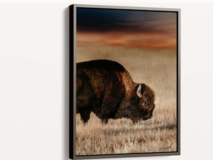 Vertical Bison Canvas Wall Art | Iconic American Buffalo Print