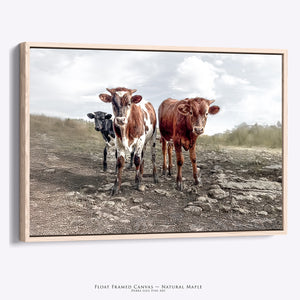 Longhorn Cow Print | Rustic Canvas Art - Farmhouse Wall Decor for Nursery or Kids