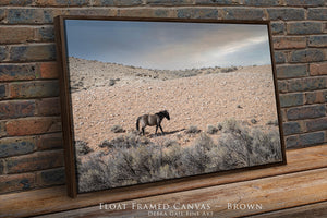A framed photograph of a horse walking across a desert landscape with a brick wall in the background.