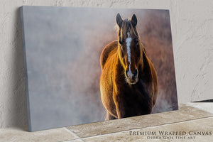 A close-up portrait of a brown horse with a white blaze, standing against a blurred background.