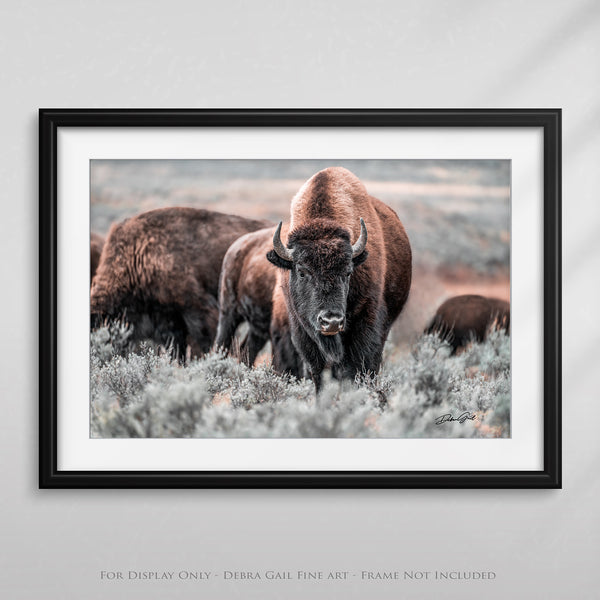 a herd of bison standing on top of a grass covered field