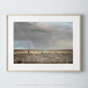 a picture of a field with a rainbow in the sky