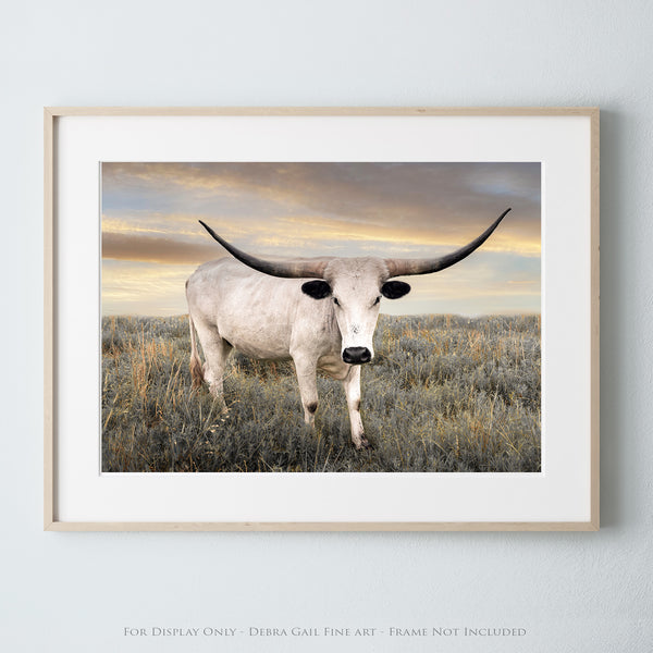 a picture of a bull with horns standing in a field