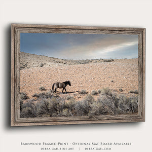 A lone horse walks across a vast, arid desert landscape, framed in a rustic wooden frame.