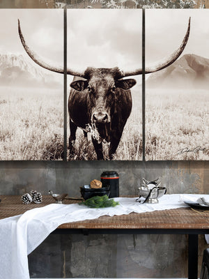 Cow triptych wall art – rustic Western split canvas photography by Debra Gail Fine Art