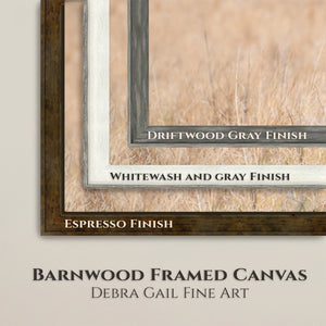 Barnwood Framed Canvas