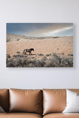 A lone horse walks across a vast, arid desert landscape, with sparse shrubs dotting the sandy terrain.