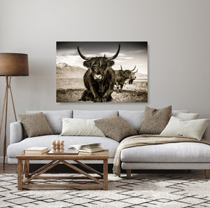 a large black and white photograph of two yaks with horns, displayed on a wall above a gray sofa in a living room setting.