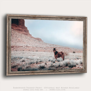 A framed print depicting a lone horse standing in a desert landscape with a rocky cliff in the background.