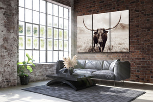Cow triptych wall art – rustic Western split canvas photography by Debra Gail Fine Art
