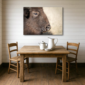 Bison wall art – rustic prairie photography print by Debra Gail Fine Art