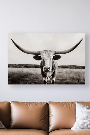 Longhorn cow wall decor canvas – rustic Western fine art print by Debra Gail Fine Art