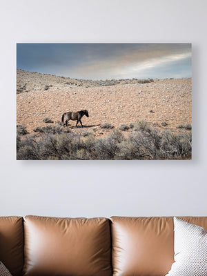 Wild Horse wall art – rustic Western fine art print by Debra Gail Fine Art