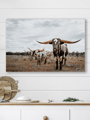 Longhorn wall decor – rustic Western fine art print by Debra Gail Fine Art