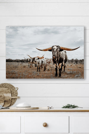 Longhorn wall decor – rustic Western fine art print by Debra Gail Fine Art