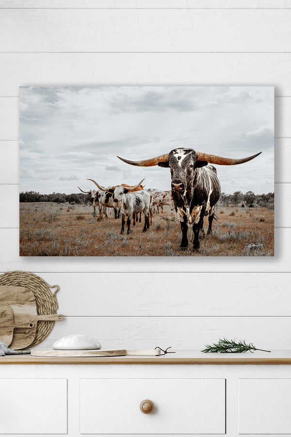 Majestic Texas Longhorns Wall Art - Western Ranch Decor