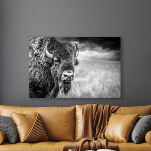 American Bison Canvas Print | Black and White Western Wildlife Wall Art