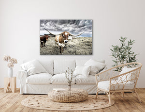Longhorn cow wall decor canvas – rustic Western fine art print by Debra Gail Fine Art