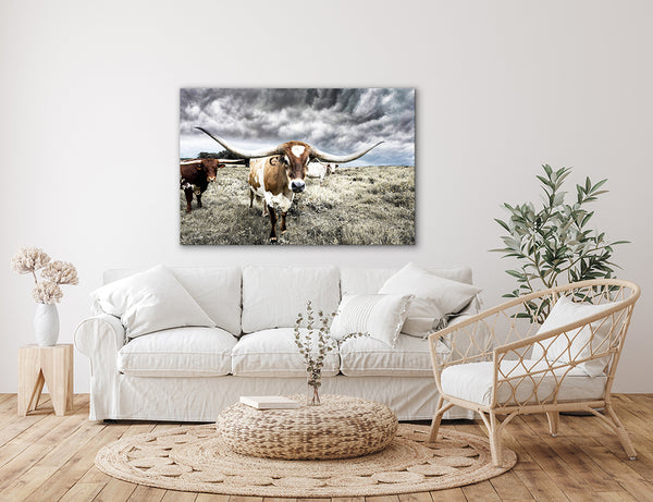 Modern Farmhouse Longhorn Art - Western Decor