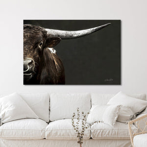Texas Longhorn wall art – Western ranch photography print by Debra Gail Fine Art