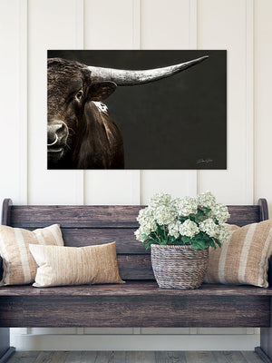 Texas Longhorn wall art – Western ranch photography print by Debra Gail Fine Art