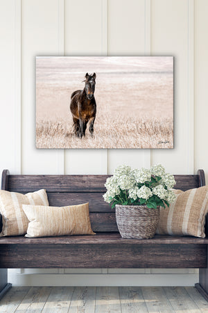 Wild Horse wall art – rustic Western fine art print by Debra Gail Fine Art