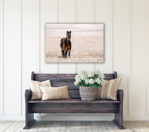 Wild Horse wall art – rustic Western fine art print by Debra Gail Fine Art