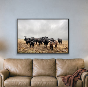 Black Angus Wall Art | Rustic Farmhouse Ranch Cattle Landscape