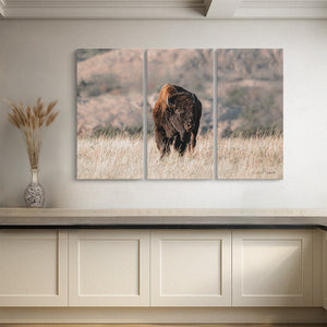 American Buffalo Triptych Wall Art | 3-Panel Canvas