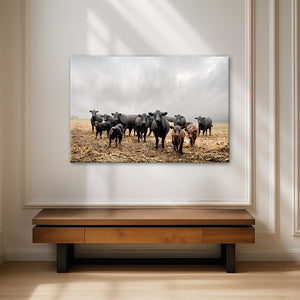 Black Angus Wall Art | Rustic Farmhouse Ranch Cattle Landscape